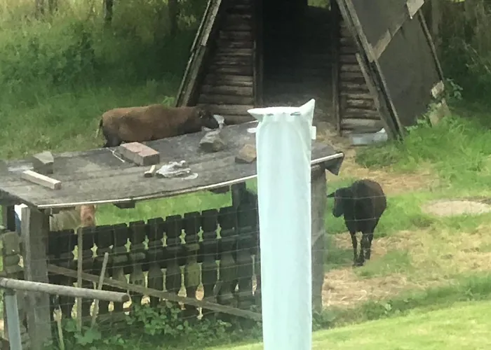 Ferienwohnung Wolf